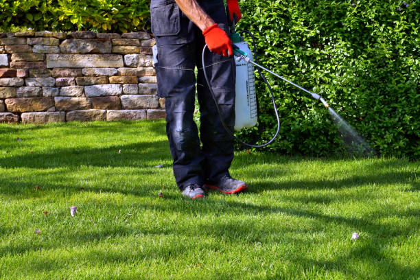 Seasonal Pest Control in Mount Carroll, IL